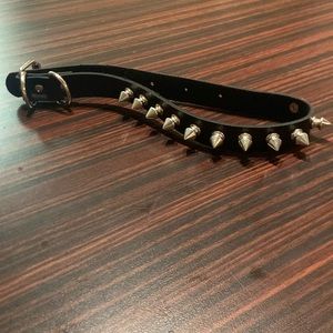 Spiked collar